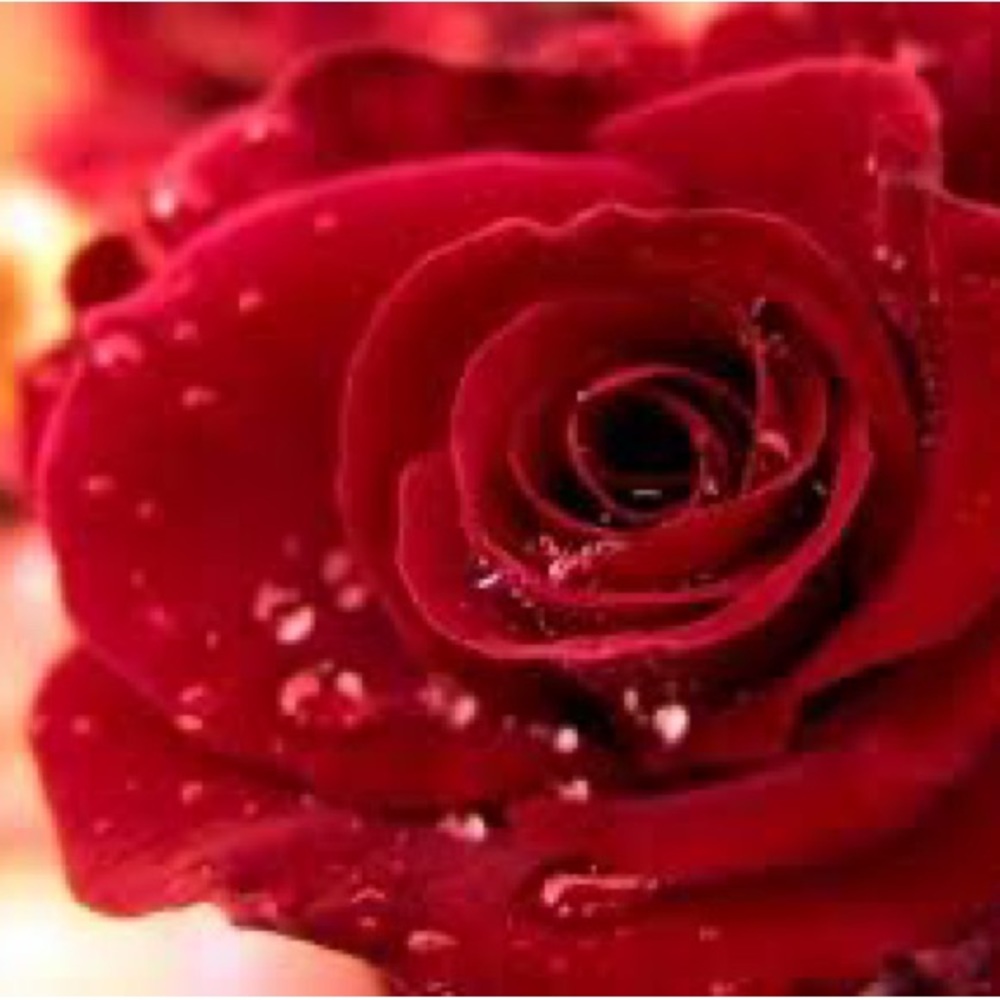 Meet your Posher, Claudia